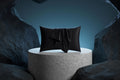 SlipStream Silk Pillowcase